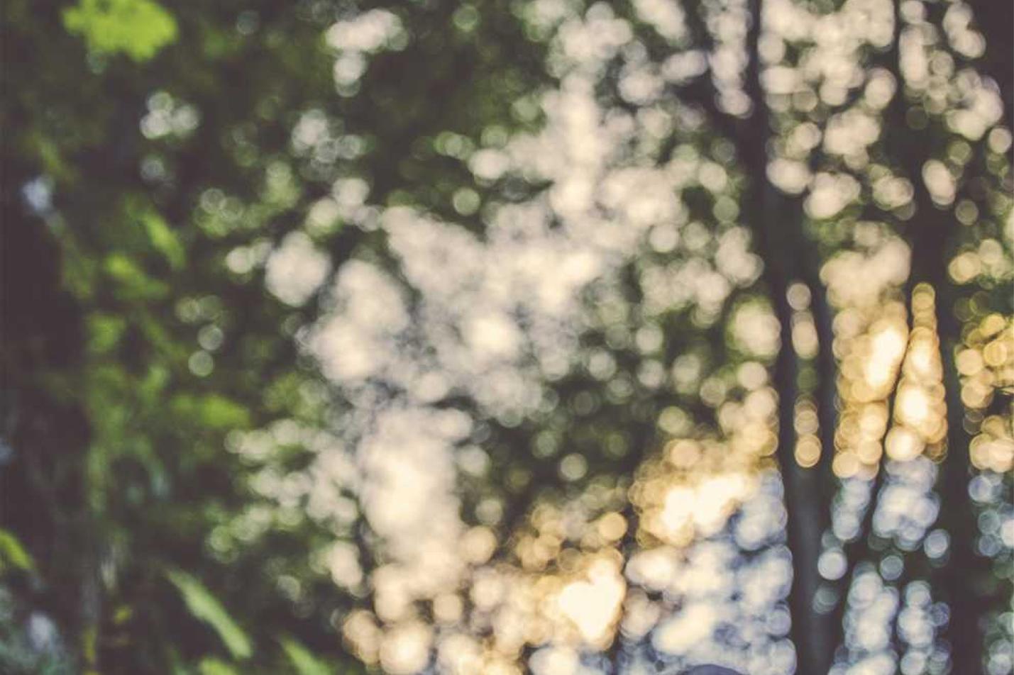 Libero aut commodi nobis similique voluptates nihil deserunt voluptatem et